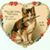 Aileen Brown's profile image