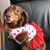 Anne Flickinger's profile image
