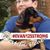 Kristi McCollum's profile image