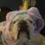 Barbara Merritt Turner's profile image