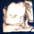 Brittany Nicole's profile image