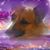 Vicky Davis's profile image