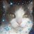 Janet Tilly Buchanan's profile image