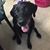 Lisa Breese Owens's profile image