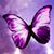 Crystal MacDonald's profile image