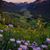 Gretchen Mestas Aldrich's profile image