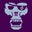 Jose Saavedra's profile image