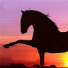 Horse L.'s profile image