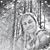 Kinga Kiss-johnson's profile image