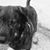 Denise Nehez's profile image