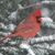 Barbara Teeple's profile image