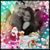 Renae Boston's profile image