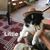 Lynette Mills Smith's profile image