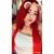 Paula Livier Padilla Tostado's profile image