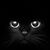 Lorie Miskimon's profile image