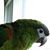Christina Forehand-Piechocki's profile image