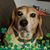 Tina Niemer's profile image