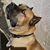 Espinoza Tina's profile image