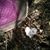 Beth Warner Ahrend's profile image