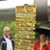 Linda Ann Emert's profile image