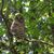 Paula Majhor's profile image