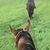 Sadie Beyer's profile image
