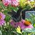 Lynn Waskovich's profile image