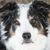 Tammy Horton-Opincar's profile image