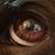 Oskars Fogels's profile image
