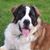 Wennschmee Schmee's profile image