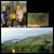 Pamela Lindle's profile image