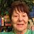 Shirley Benham's profile image