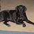 Patti Hines Matthews's profile image