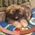 Susan Fitzgerald's profile image