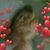 Sue Young's profile image