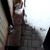 Guillermo Pacheco's profile image