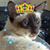 Vikki Amb Lesniak's profile image
