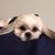 Nilsa Rivera's profile image