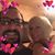 Tracey Failla's profile image