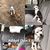 Amy Renee Natoli's profile image