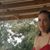 Dawn Boatwright's profile image