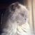 Betty Carol Paden's profile image