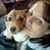 Teresa Martin's profile image