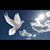 Paula Bell-allen's profile image
