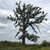 Lynn Mizer's profile image