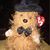 Mary Campbell's profile image