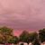 Lorri Reeck's profile image
