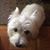 Catherine Maria Derenale's profile image