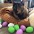 Sherry Hague Deines's profile image