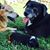 Kayla Lirette Hebert's profile image